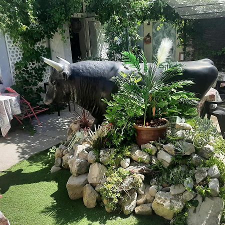 Hotel La Tour Des Fees Quissac  Luaran gambar
